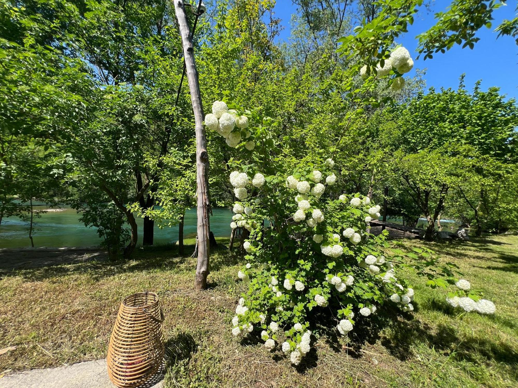 Anur Apartment Bihac Exterior photo